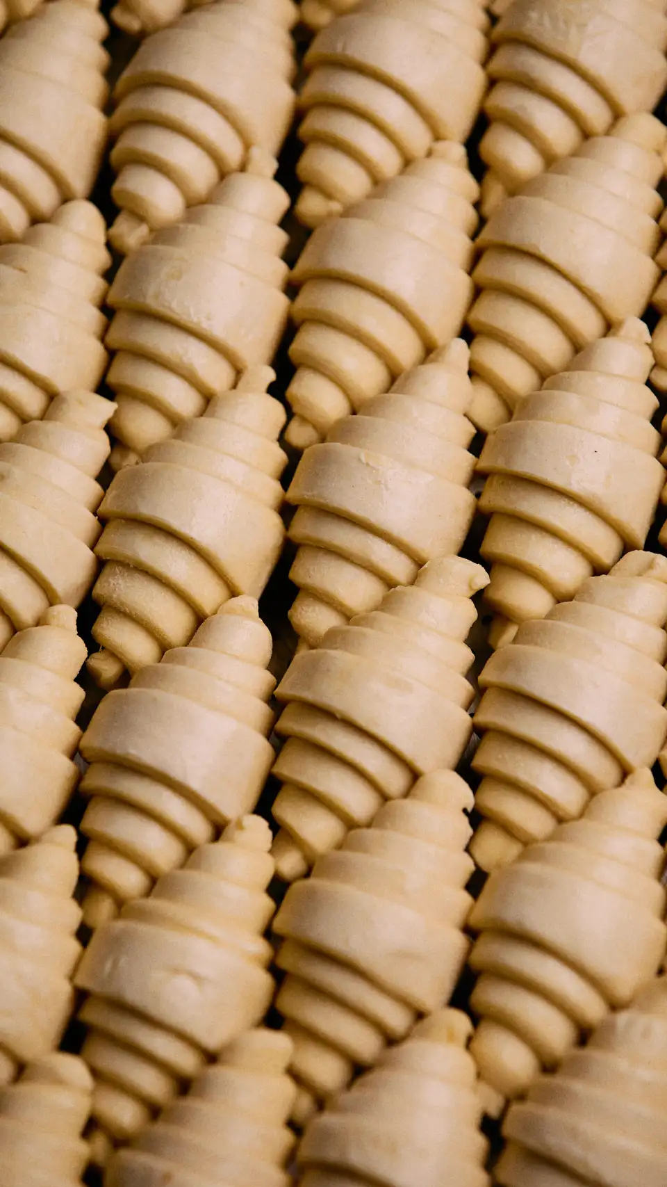 Croissants recién formados, antes del horno, en el obrador de Alanya