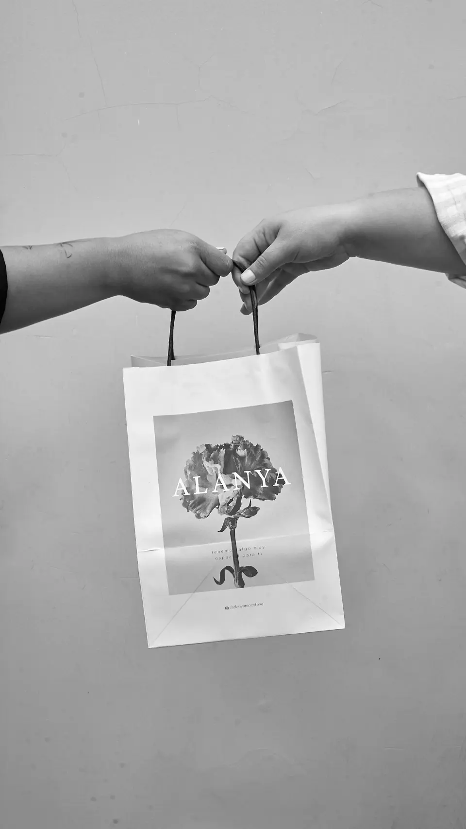 Bolsa de papel de Alanya entregada de mano en mano